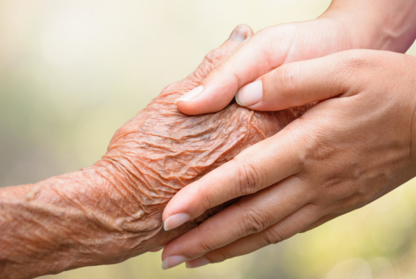 Comforting Companions Care Providers - Senior Citizen Services & Centres