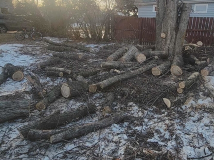 Foster's Treeworks - Service d'entretien d'arbres