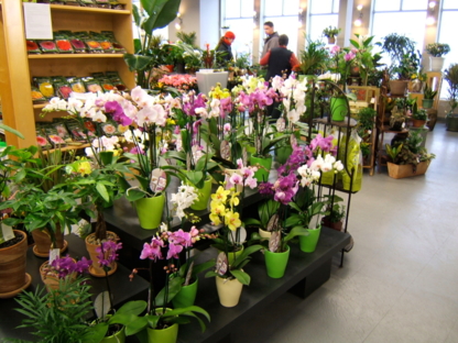Gauthier Fleurs et Jardins - Fleuristes et magasins de fleurs