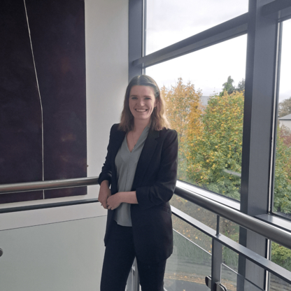 Firefly Insights - Business Management Consultants