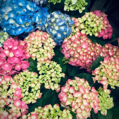 Parsons' Florist - Florists & Flower Shops
