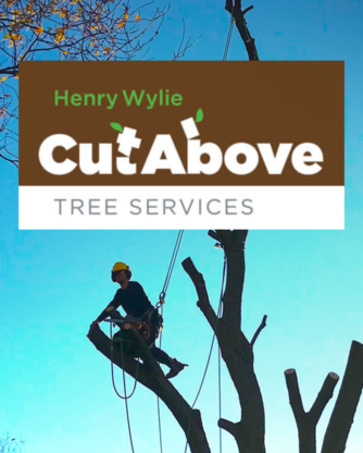 Cut Above Tree Services - Service d'entretien d'arbres