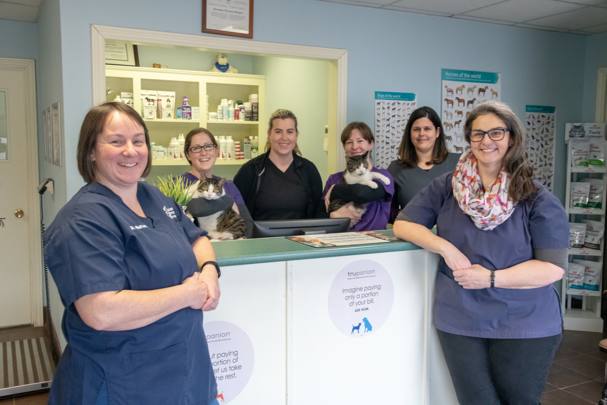 Dairytown Veterinary - Veterinarians