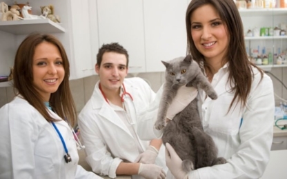 Nova Veterinary Clinic - Veterinarians