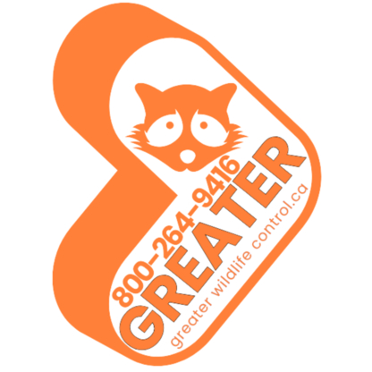 Greater Wildlife Control - Wildlife & Animal Control