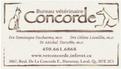 Bureau Vétérinaire Concorde Inc - Veterinarians