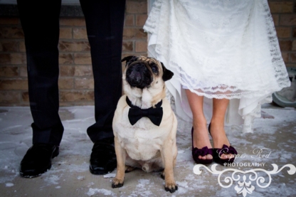 CopperRed Photography - Portrait & Wedding Photographers