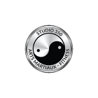 Studio 350 - Martial Arts Lessons & Schools