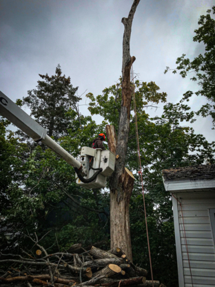 O'Blenes Trees & Services - Tree Service