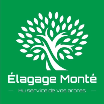 Elagage Monte - Tree Service