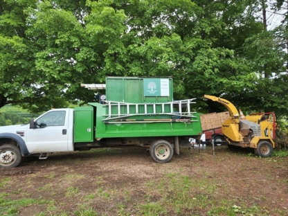 Service d'Arbres Aubois - Service d'entretien d'arbres