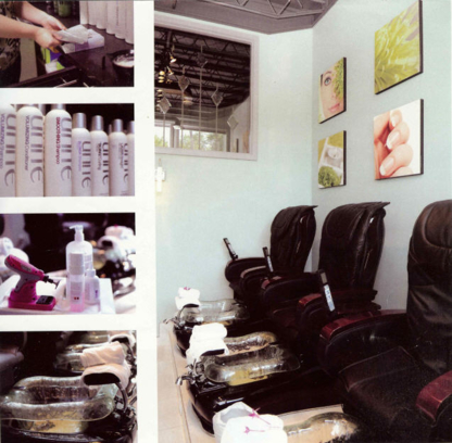 Expressions Salon & Spa - Hair Extensions
