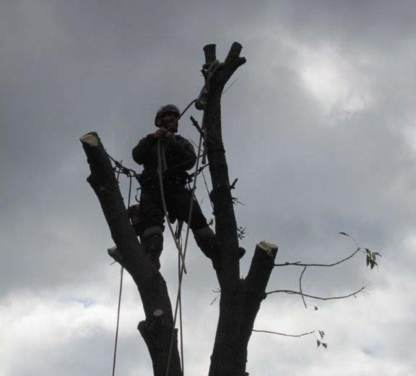 ARTbres - Service d'entretien d'arbres