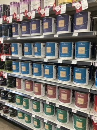 Paint Shop - Paint Stores