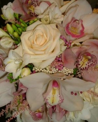 Petals n Blooms - Florists & Flower Shops