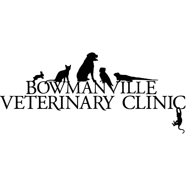 Bowmanville Veterinary Clinic - Vétérinaires