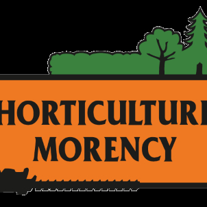 Horticulture Morency - Service d'entretien d'arbres