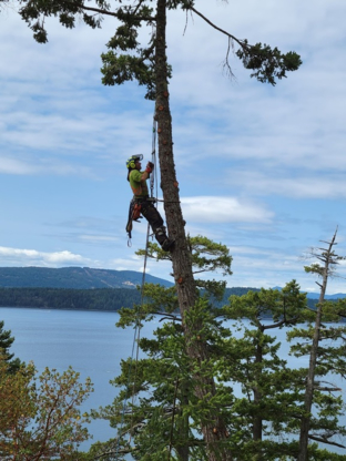 Yellow D. Tree Services - Tree Service