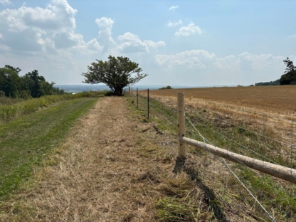 Dave King Fencing - Fences