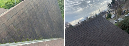 Lifecycle Roofing - Roofing Service Consultants