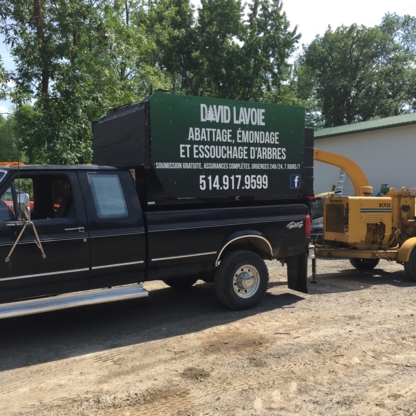 Services d'Arbres David Lavoie - Service d'entretien d'arbres