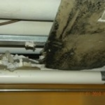 Alliance Environmental & Abate - Asbestos Removal & Abatement