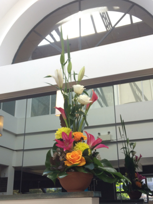 Les Halles en Fleurs Inc - Fleuristes et magasins de fleurs
