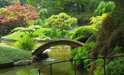 Mega SR - Centres du jardin