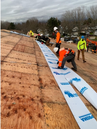 Alphanova Roofing