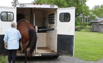 Trailer Training with Success - Dressage de chevaux