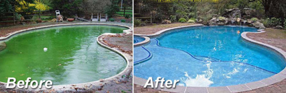 Pacific Pool & Spa - Swimming Pool Maintenance