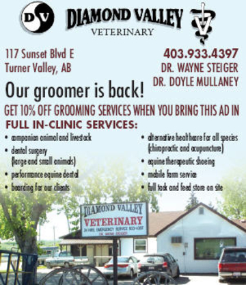 Diamond Valley Veterinary Clinic Ltd - Veterinarians
