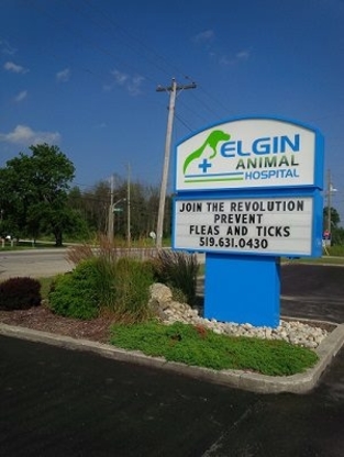 Elgin Animal Hospital - Kennels
