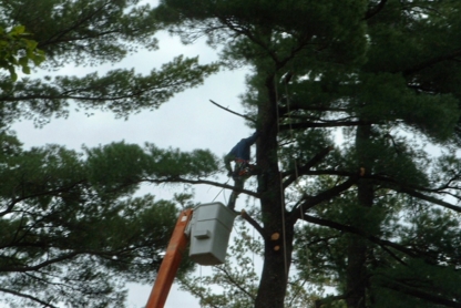 Élagage et Abattage Sainte-Julienne - Service d'entretien d'arbres