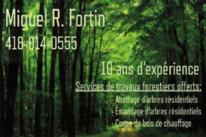 Miguel R Fortin émondage - Service d'entretien d'arbres