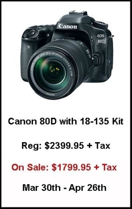 Camera Craft - Camera & Photo Equipment Stores