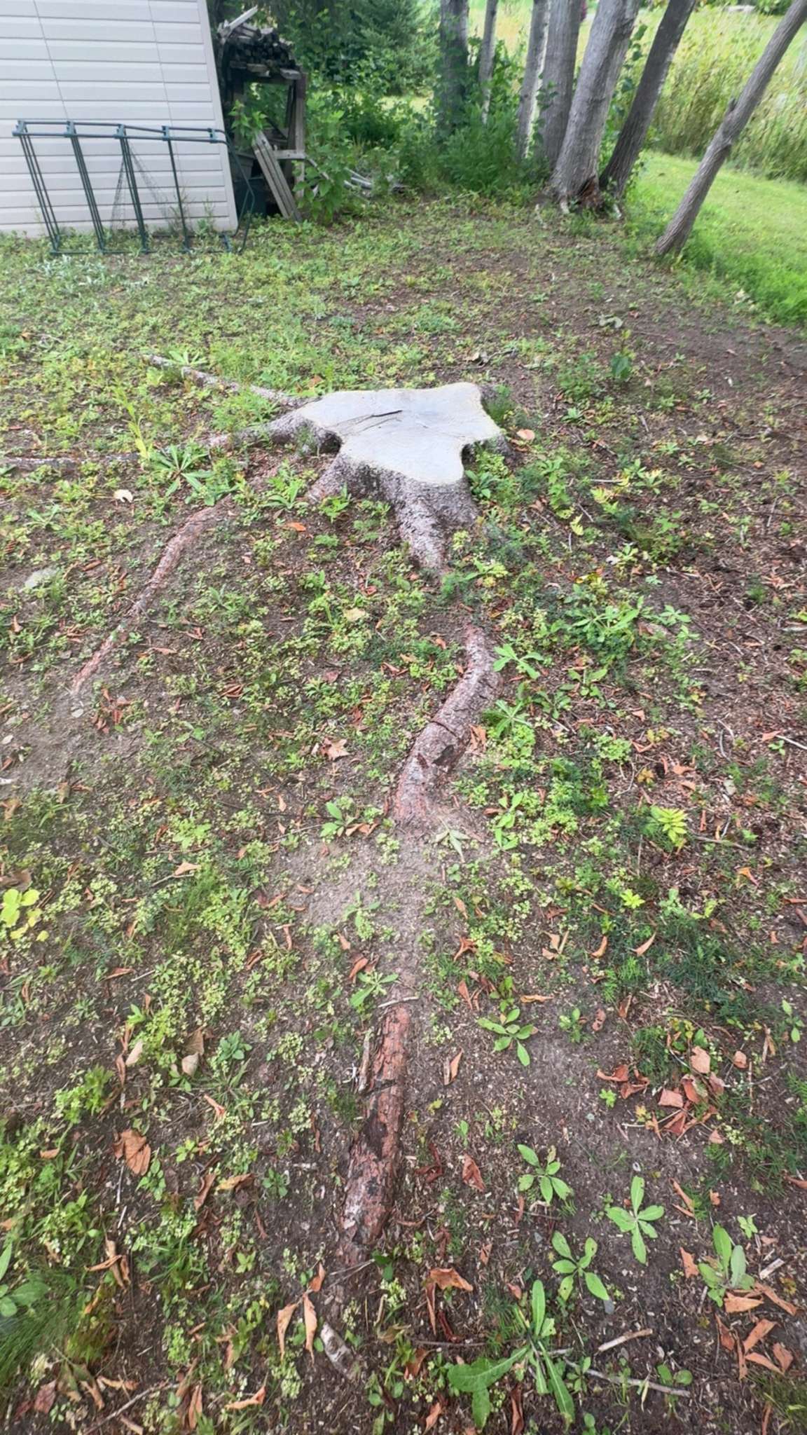 Stickman Stump Removal - Tree Service