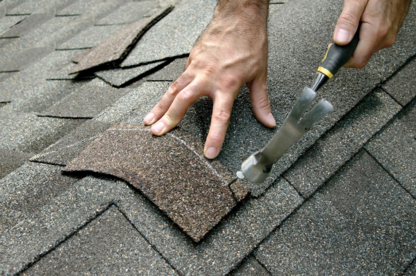 Top Shield Roofing - Roofing Service Consultants