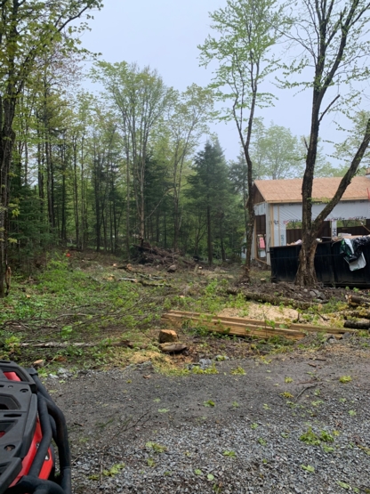 Samuel St-Pierre Élagage & Travaux Forestiers - Service d'entretien d'arbres