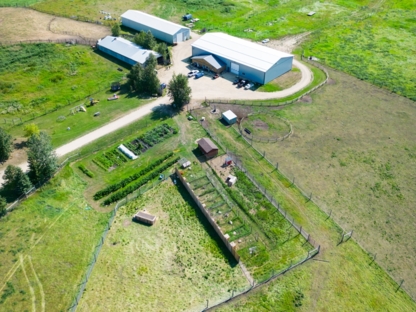 The Gull Lake Honey Company - Miel