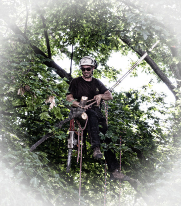 Brown Tree Services - Tree Service