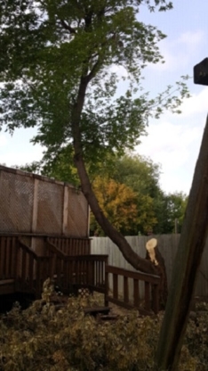 DEN-MAR Tree Removal & Firewood - Tree Service