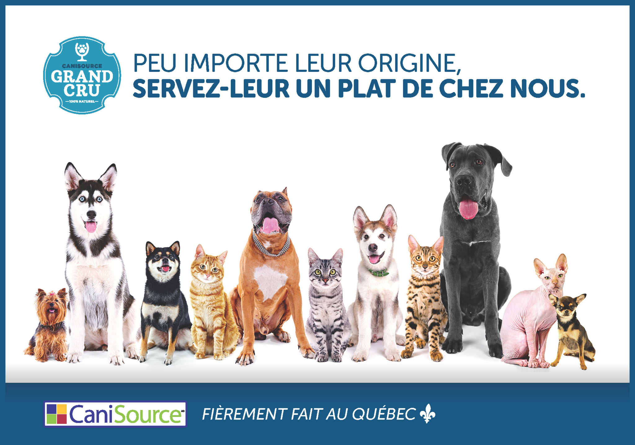 Animo Etc Blainville - Pet Food & Supply Stores