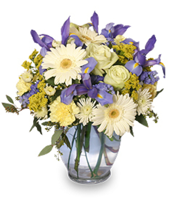 OMNI Flowers - Florists & Flower Shops