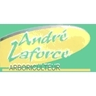 André Laforce Arboriculteur Inc - Service d'entretien d'arbres