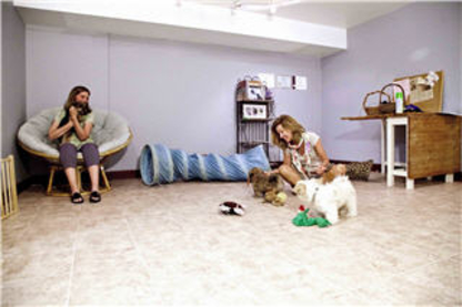 View Just Fur Fun Dog Daycare and Training’s Markham profile