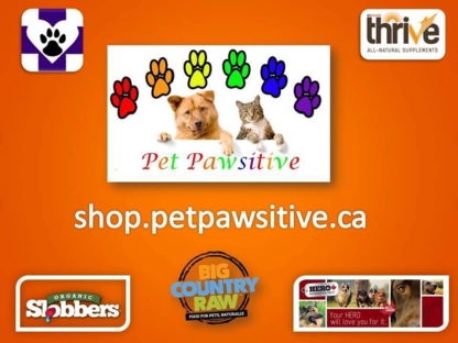 Pet Pawsitive - Pet Sitting Service