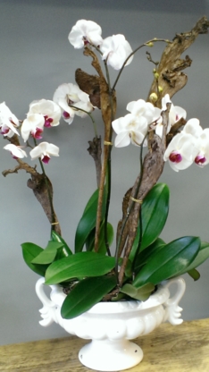 Twigs Floral Design - Accessoires de décoration intérieure