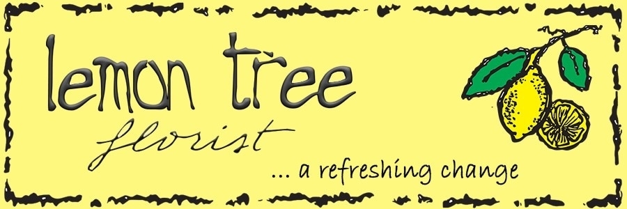 Lemon Tree Florist - Fleuristes et magasins de fleurs