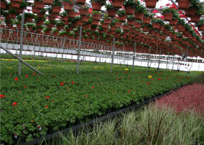 Serres Dame Nature - Passion Jardin - Garden Centres